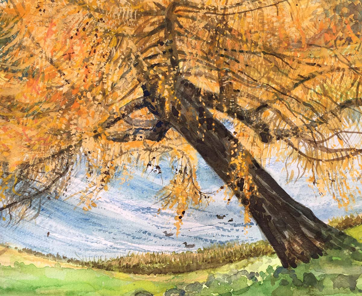 Margaret Mitchell - Leaning larch
