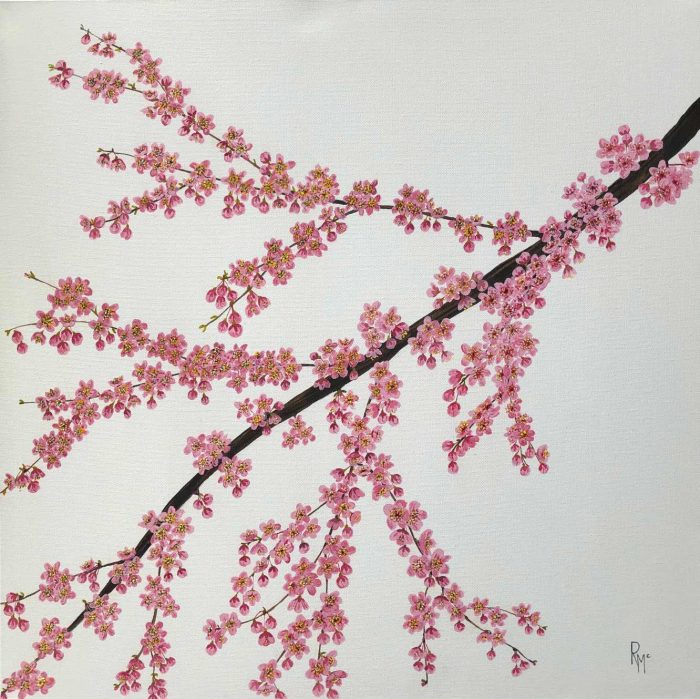 Rochelle McConnachie - Cherry Blossom