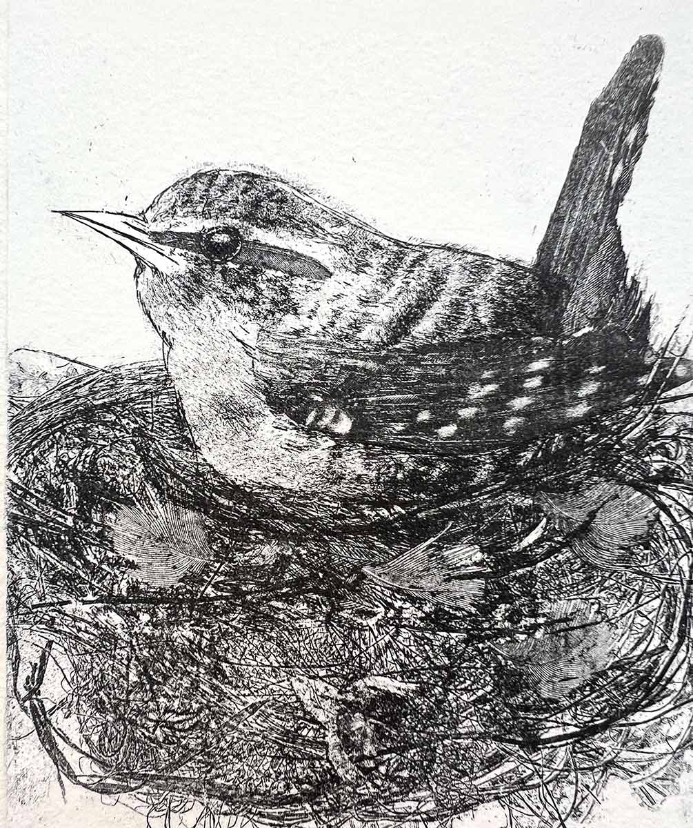 Sheila Roberts - Wren 26